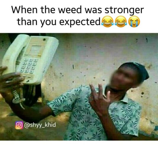 1000073343