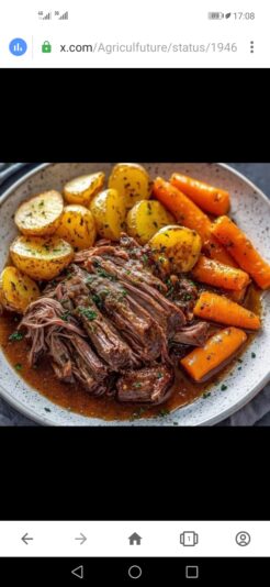 Screenshot_20250719_170823_com.opera.browser