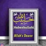 Profile photo of Habeebullahi
