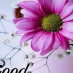 Profile photo of Sunday