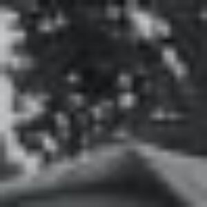 Profile photo of Chioma