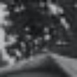 Profile photo of Chioma