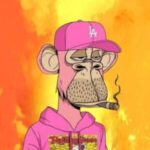 Profile photo of Opzzy.Web3 wizard