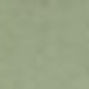 Profile photo of Pelumi