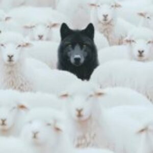 Profile photo of Chukwuemeka