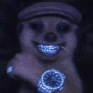 Profile photo of Oguike