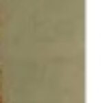 Profile photo of Jhabi