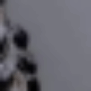 Profile photo of Sophia