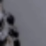 Profile photo of Sophia