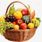 Profile photo of GOSHEN