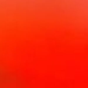 Profile photo of Robin