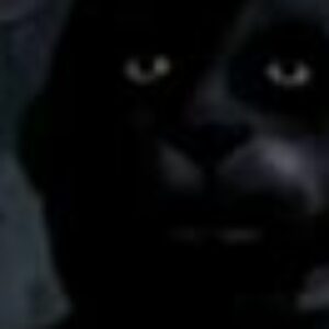 Profile photo of Muna