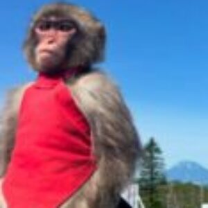 Profile photo of David