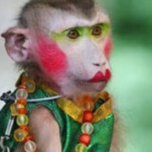 Profile photo of Daniella